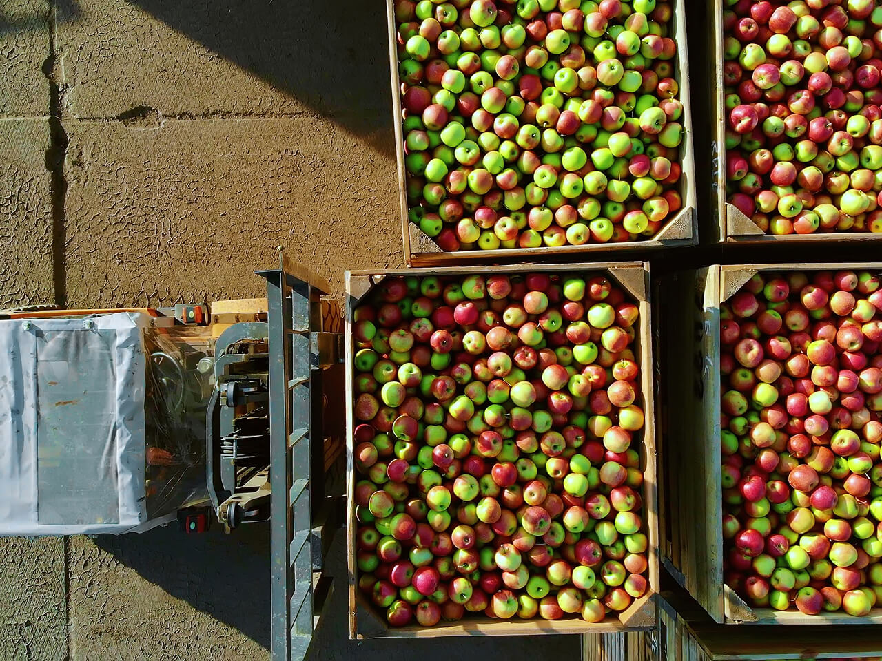 Cadrex Participates in the Dubai International Food Expo 2025 1