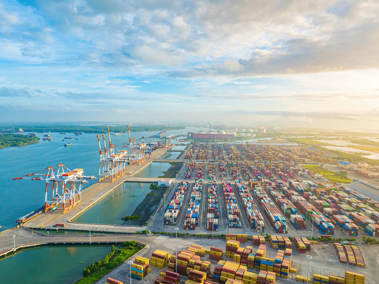 The Journey of Turmeric: From Farm to Global Markets 1