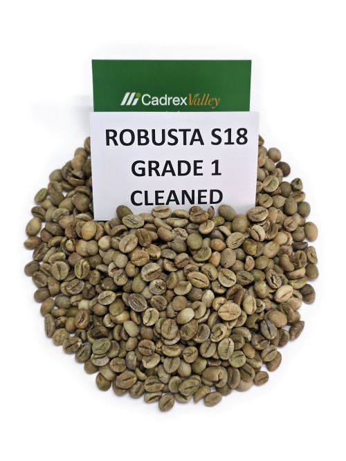 Robusta-S18-Cleaned
