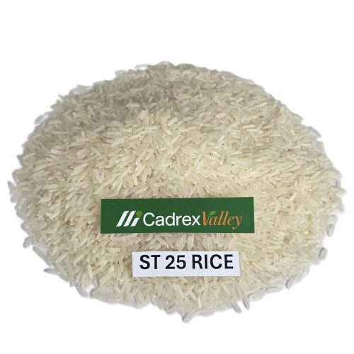 ST 25 RICE