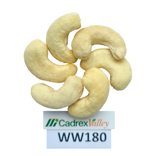 WW180-WHITE WHOLES 180