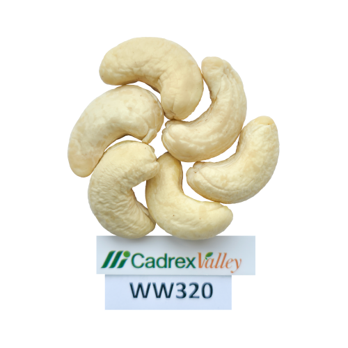 WW32O – WHITE WHOLES 320