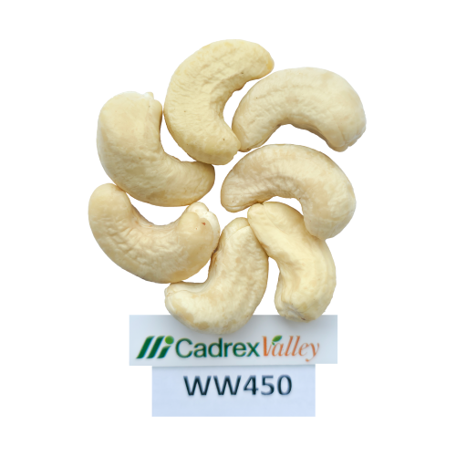 WW450 – WHITE WHOLES 450