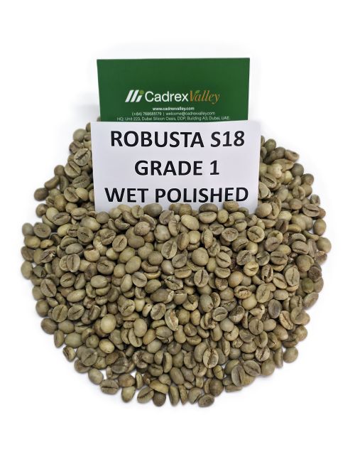 ROBUSTA S18 WET POLISHED