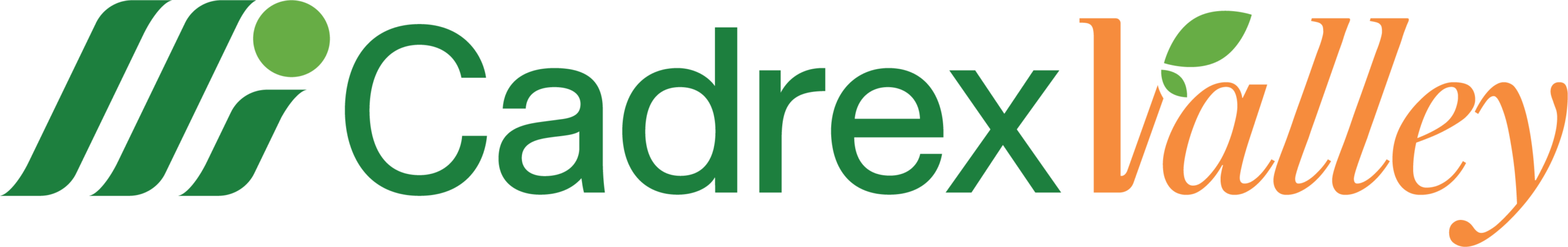 Cardex